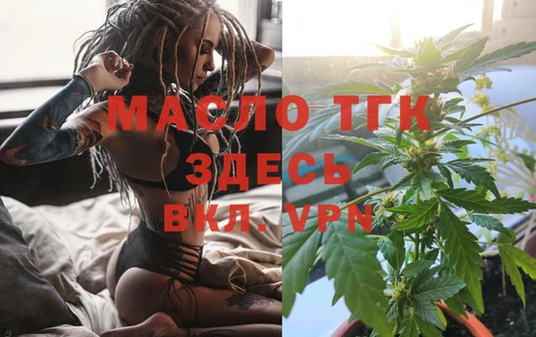 шишки Арсеньев