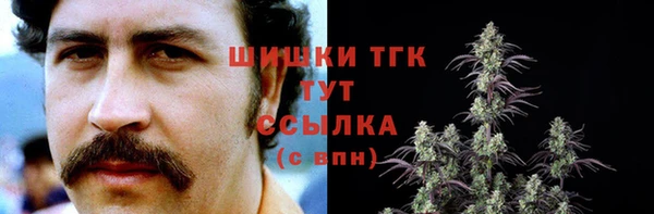 шишки Арсеньев