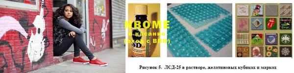 тгк Семёнов