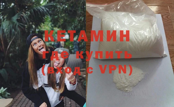 стаф Аркадак