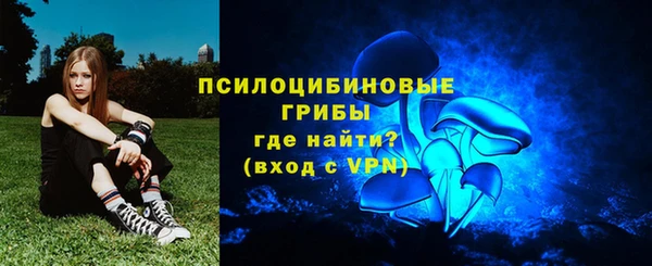шишки Арсеньев
