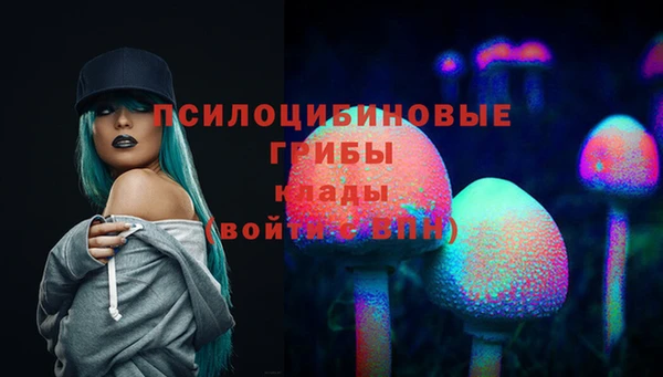 соль ск Семилуки