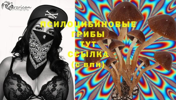 хмурый Армянск