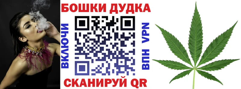 Каннабис White Widow  купить наркотик  Новодвинск 